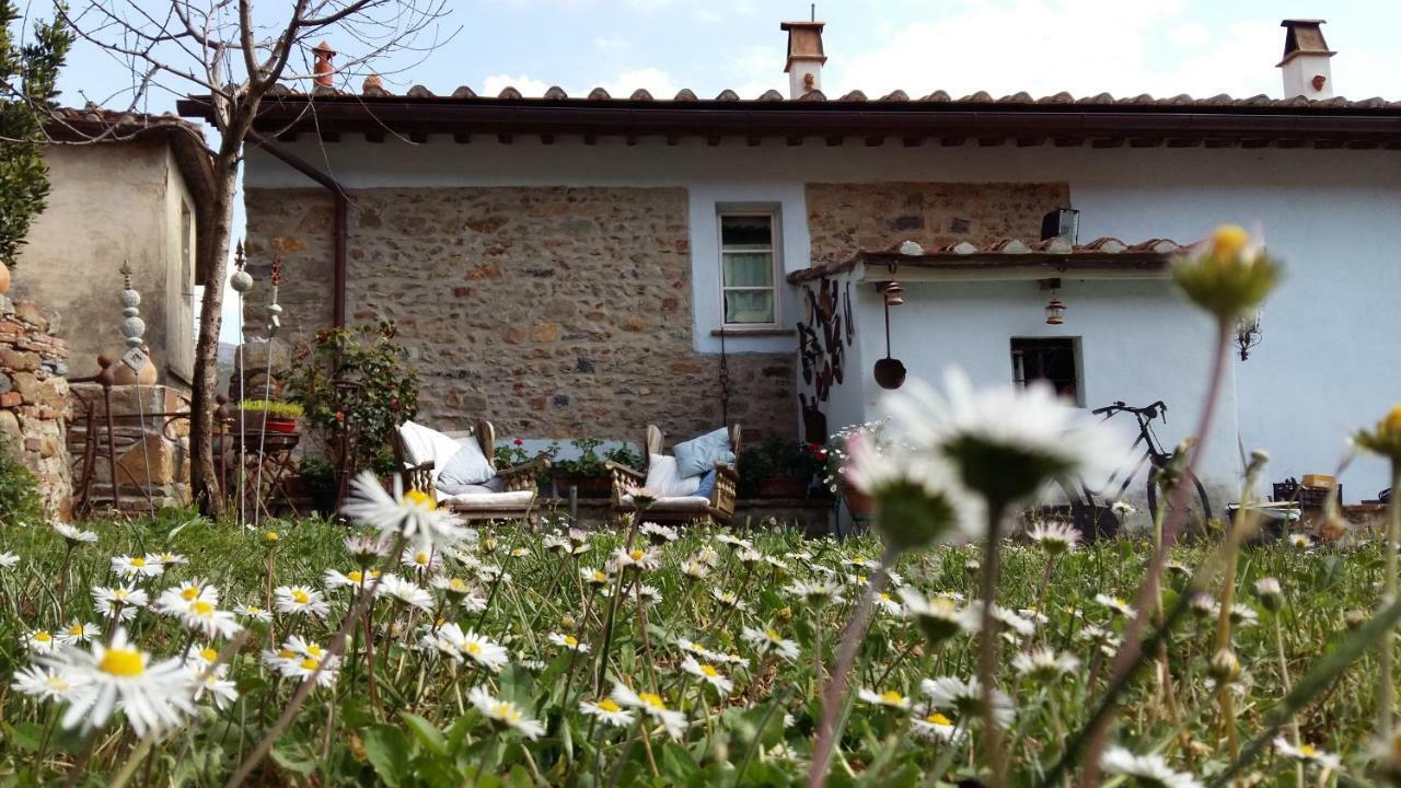Vila Il Colle Calci Exteriér fotografie