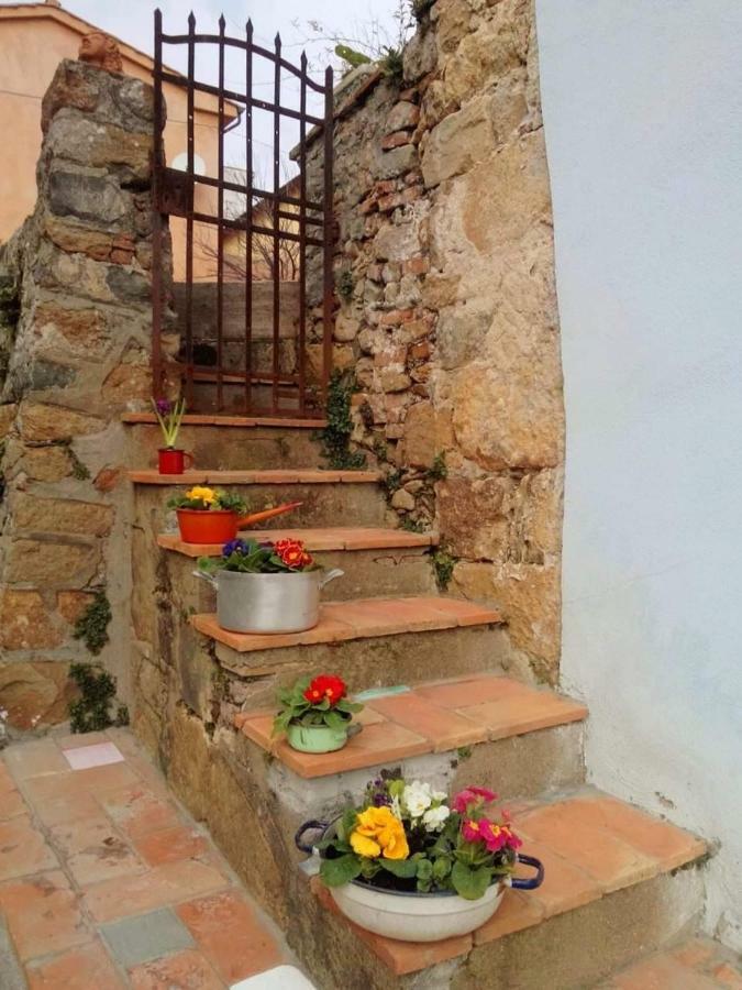 Vila Il Colle Calci Exteriér fotografie